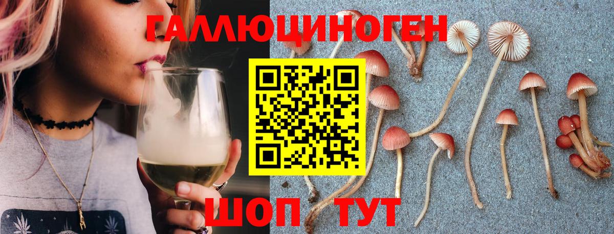 Псилоцибиновые грибы Cubensis  Вход с VPN  Псилоцибиновые грибы GOLDEN TEACHER  Урус-Мартан 