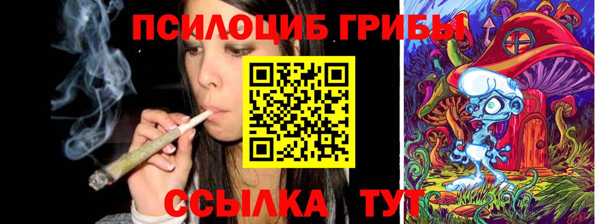 Псилоцибиновые грибы GOLDEN TEACHER Урус-Мартан